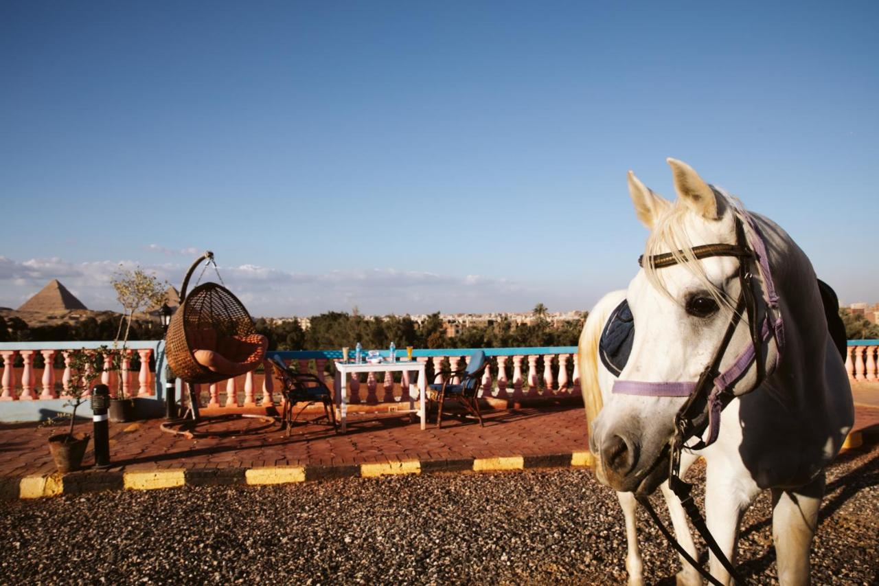 Heru Pyramids View Hotel Каїр Екстер'єр фото